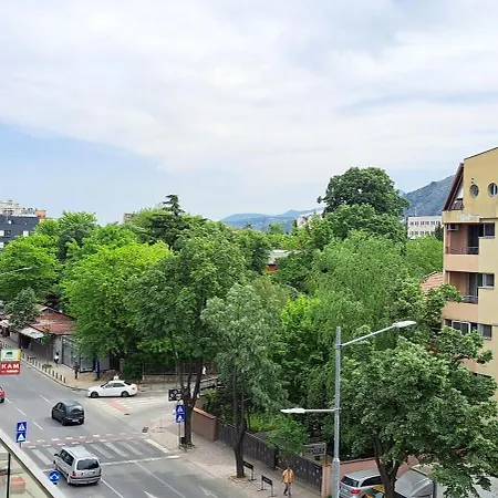 Apartment Golden Delight